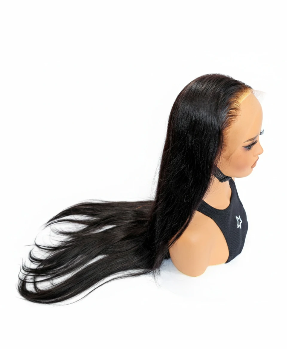 Silky Straight Lace Wig
